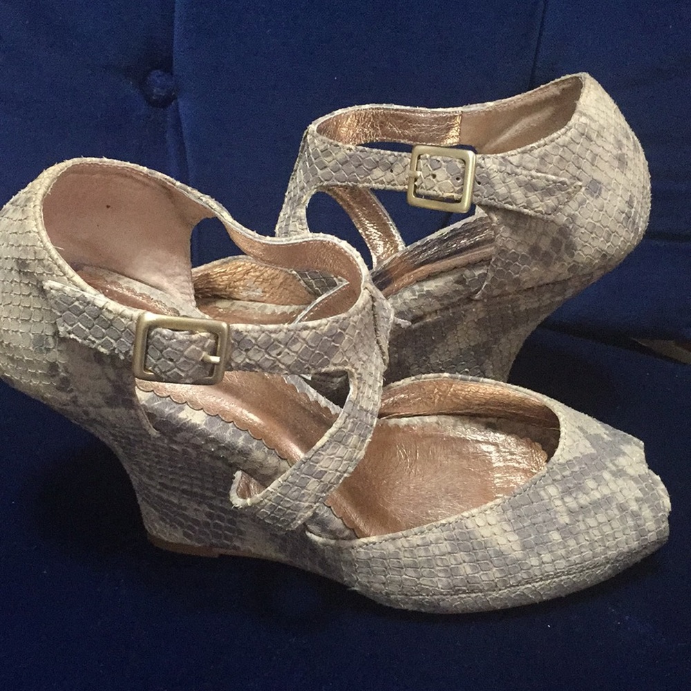 Anthropology Miss Albright wedges